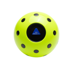 The Magic Pickleball!! Your Pickleball Destiny Awaits!