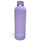 Flamingo Hydration Bottle | 24oz Insulated Stainless Steel | Screw On Lid
