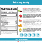 H2O ELECTROLYTES™ - Variety Pack (20 Count) - Zero Sugar Electrolyte Powder