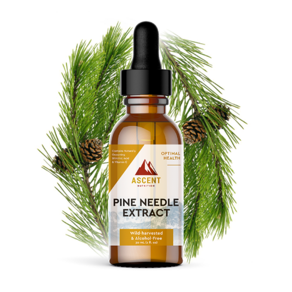 Pine Needle Extract, Pine Needle Tea Alternative, 267 mg