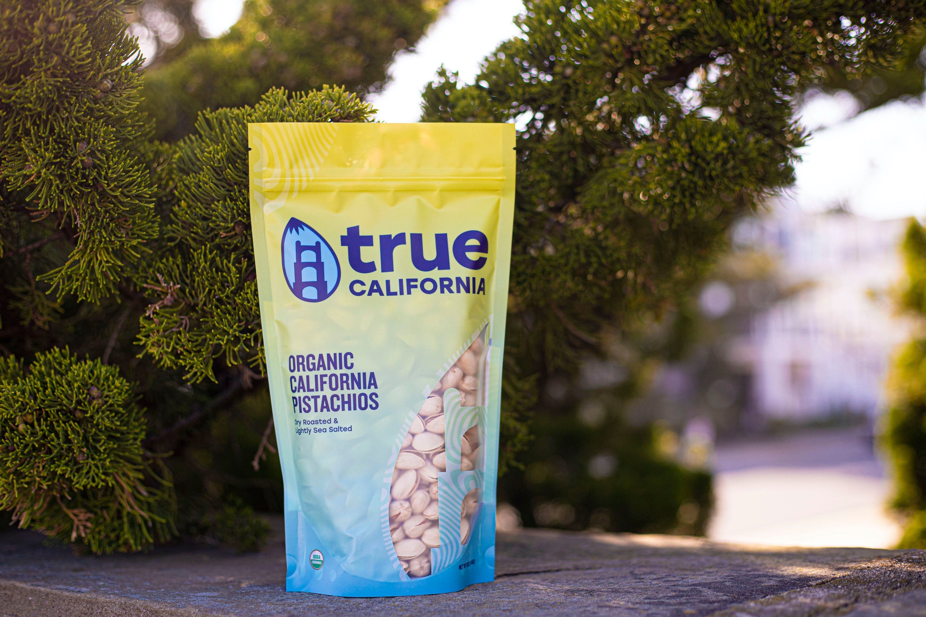 Organic Pistachios, Dry Roasted & Lightly Sea Salted