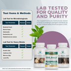 Nature's Lab Women's Health Bundle