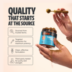 Turkey Tail Mushroom Extract Powder