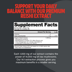 Reishi Mushroom Extract Powder