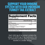 Turkey Tail Mushroom Extract Powder