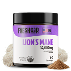 Lion's Mane Mushroom Extract Powder
