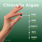 RECOVERYbits® Chlorella | Large Bag