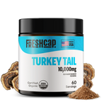 Turkey Tail Mushroom Extract Powder